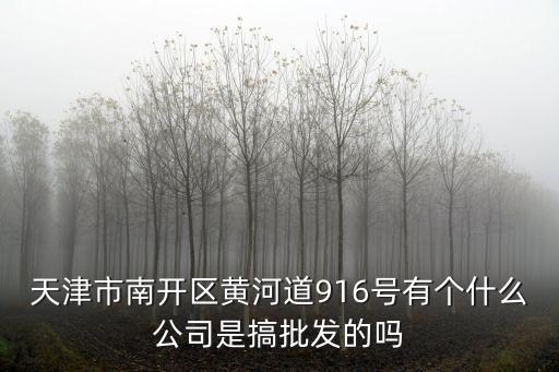天津市南開區黃河道916號有個什么公司是搞批發的嗎