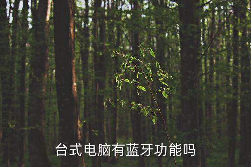 臺(tái)式電腦有藍(lán)牙功能嗎