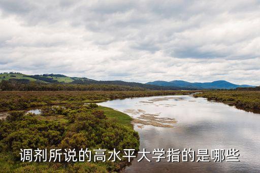高水平大學，調劑所說的高水平大學指的是哪些