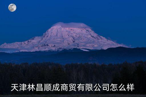 天津林昌順成商貿有限公司怎么樣