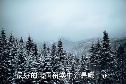 出國留學的機構哪家好，打算出國留學找哪個留學機構比較靠譜