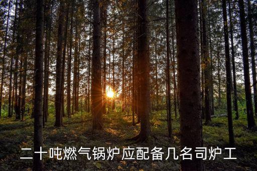 天津市燃?xì)忮仩t司爐工配置規(guī)定，二十噸燃?xì)忮仩t應(yīng)配備幾名司爐工