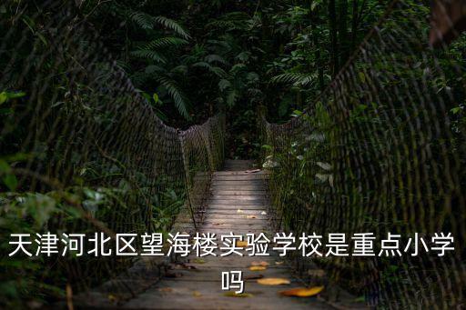 天津河北區望海樓實驗學校是重點小學嗎