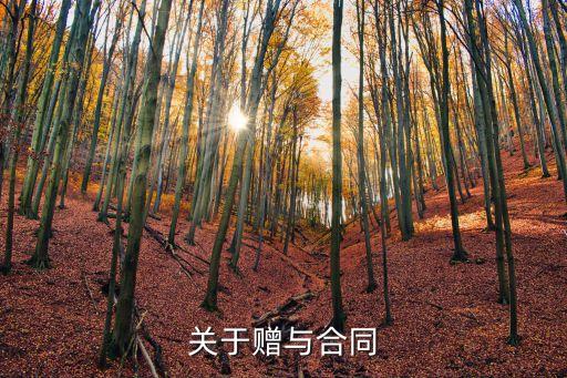 關(guān)于贈與合同
