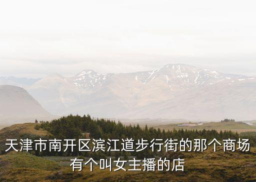 天津市南開區(qū)濱江道步行街的那個(gè)商場(chǎng)有個(gè)叫女主播的店