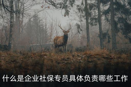 社保專(zhuān)員，我看見(jiàn)你說(shuō)是社保專(zhuān)員主要是做什么的啊 工資待遇怎么樣  問(wèn)