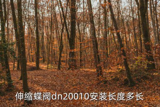 伸縮蝶閥dn20010安裝長度多長