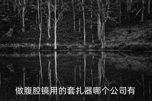 做腹腔鏡用的套扎器哪個公司有