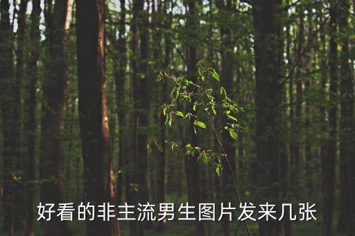 好看的非主流男生圖片發(fā)來幾張
