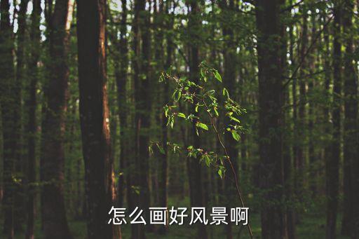 怎么畫好風景啊