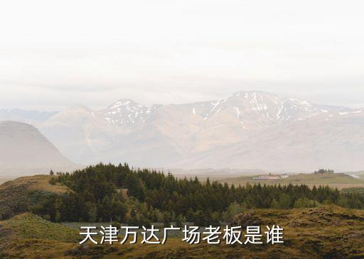 天津萬達廣場老板是誰