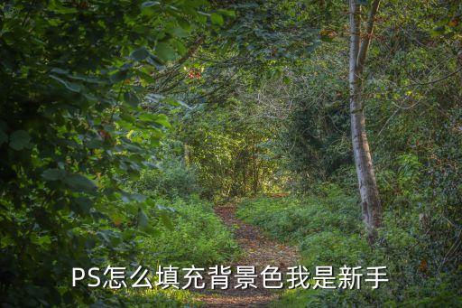 ps背景填充，ps怎么填充背景顏色啊