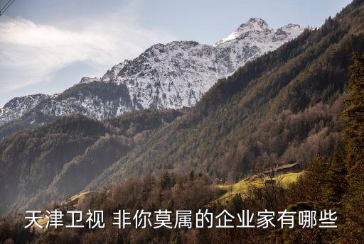 天津衛視 非你莫屬的企業家有哪些