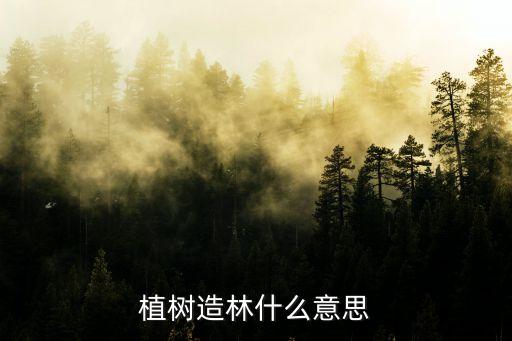 植樹造林什么意思