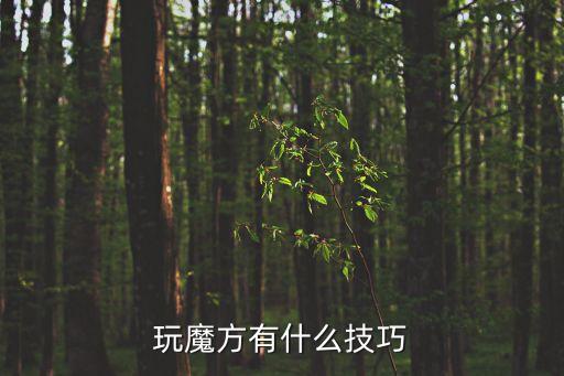 魔方技巧，玩魔方有什么技巧