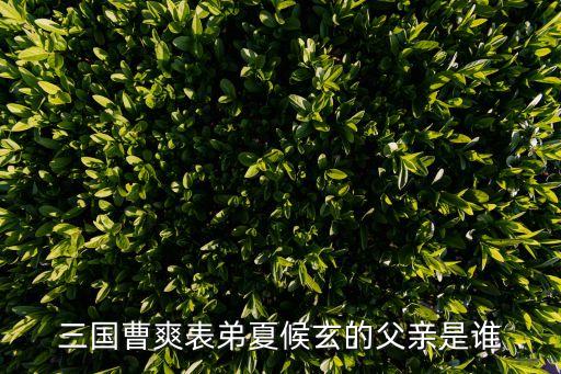 夏侯玄，三國曹爽表弟夏候玄的父親是誰