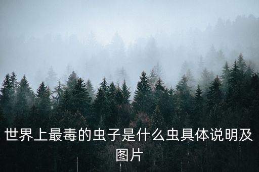 世界上最毒的蟲子，世界上最毒的昆蟲是什么