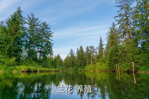 蘭花 養殖