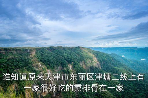 天津市東麗區(qū)上尚湯，天津東麗區(qū)哪里可以代熬中藥
