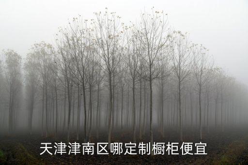 天津津南區哪定制櫥柜便宜