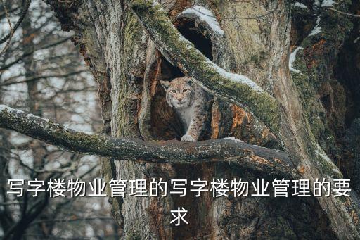 寫字樓物業管理的寫字樓物業管理的要求