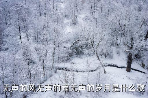 無聲的風無聲的雨無聲的歲月是什么歌