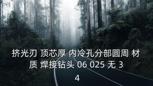 擠光刃 頂芯厚 內冷孔分部圓周 材質 焊接鉆頭 06 025 無 3 4