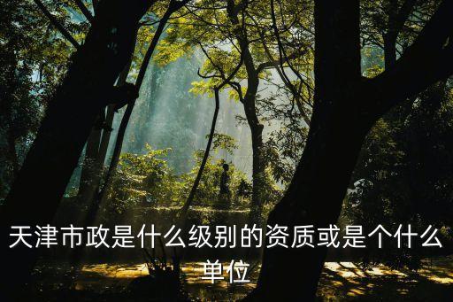 天津市政是什么級別的資質或是個什么單位