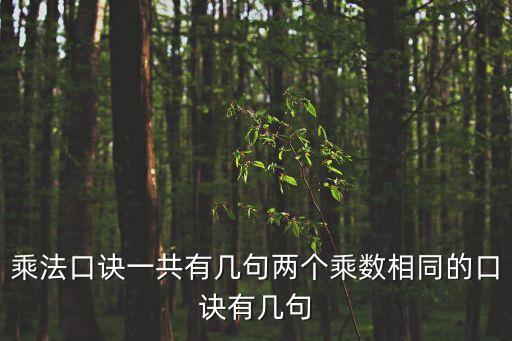 小學乘法口訣表圖片，乘法口訣一共有幾句兩個乘數相同的口訣有幾句