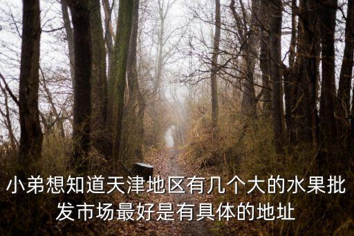 小弟想知道天津地區有幾個大的水果批發市場最好是有具體的地址
