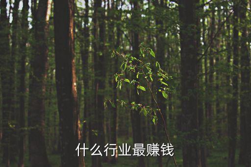 什么行業掙錢，什么行業最賺錢