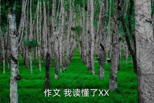 我讀懂了，作文 我讀懂了XX