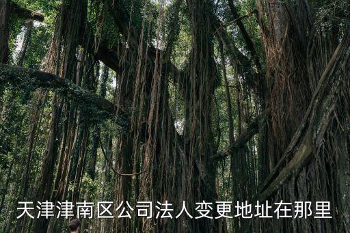 天津市津南財務咨詢，津南區哪個會計培訓機構比較好大家幫忙推薦一下