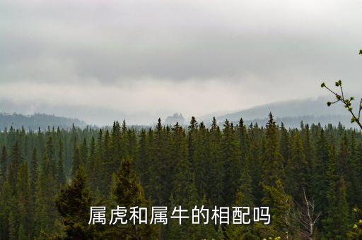 屬虎和屬牛的相配嗎