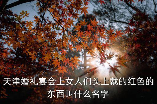 天津撈面，天津河東順馳橋下的撈面叫什么