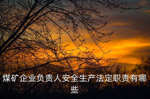 煤礦企業(yè)負(fù)責(zé)人安全生產(chǎn)法定職責(zé)有哪些