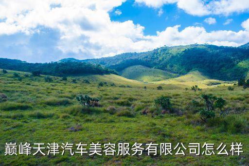 巔峰天津汽車美容服務有限公司怎么樣
