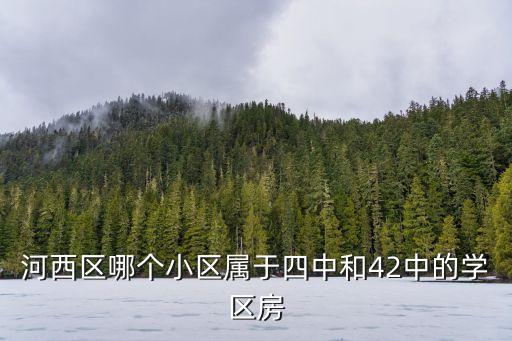 河西區哪個小區屬于四中和42中的學區房