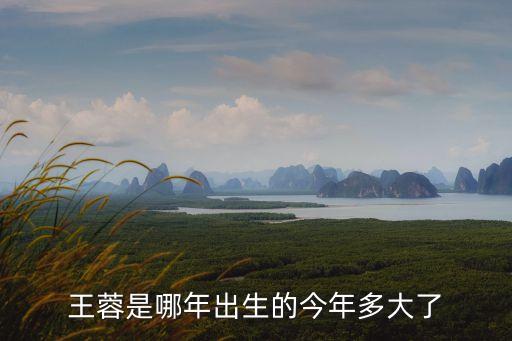 王蓉是哪年出生的今年多大了
