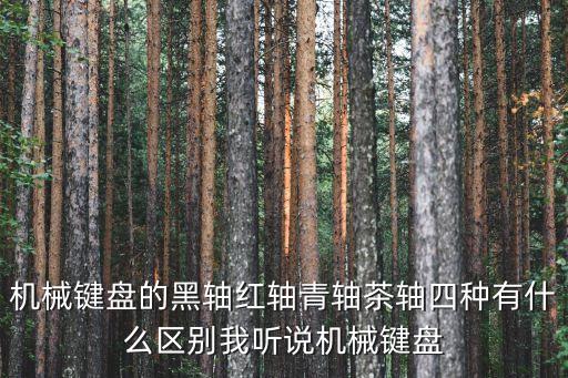機(jī)械鍵盤的黑軸紅軸青軸茶軸四種有什么區(qū)別我聽說(shuō)機(jī)械鍵盤