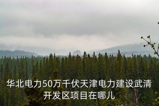 華北電力50萬千伏天津電力建設武清開發區項目在哪兒