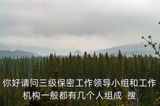 中央保密委員會，保密委員會副主任是不是一定要設