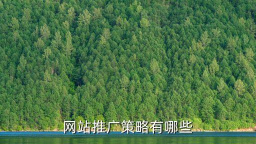 網(wǎng)站推廣策略有哪些