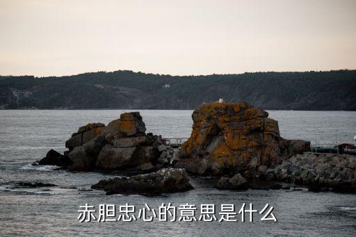 赤膽忠心的意思是什么