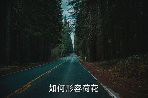 如何形容荷花