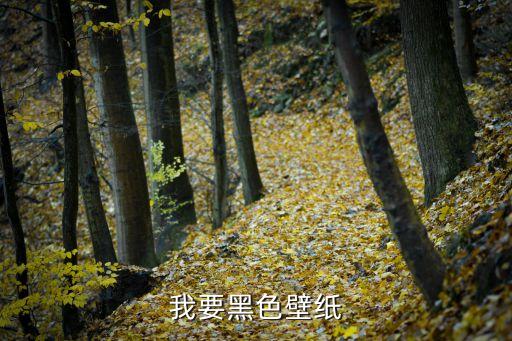 純黑色手機(jī)壁紙，求黑色手機(jī)壁紙