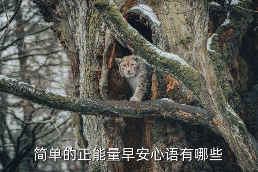 簡單的正能量早安心語有哪些