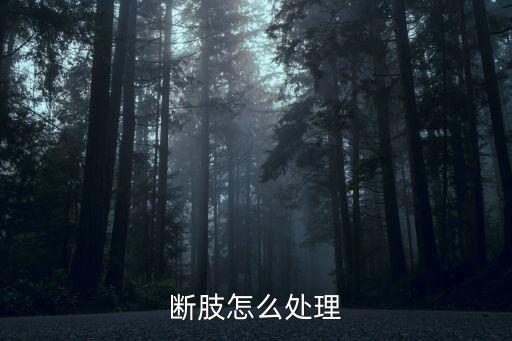 斷肢怎么處理