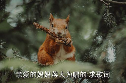 親愛的媽媽蔣大為唱的 求歌詞