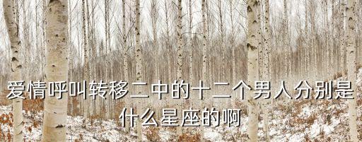 十二個男人，一年十二個男人怎么樣